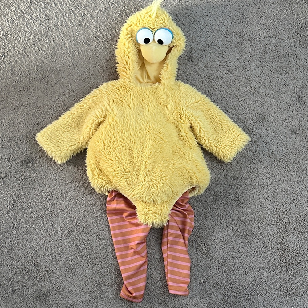 Pottery Barn Kids Yellow Fuzzy Costume